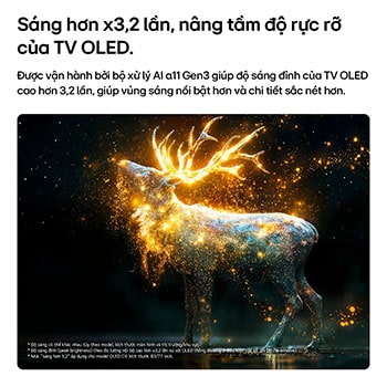 LG OLED evo AI C6 with Brightness Booster shows a dark scene where a brilliantly illuminated peacock spreads its radiant, glowing feathers, delivering brighter highlights with improved detail and striking contrast.